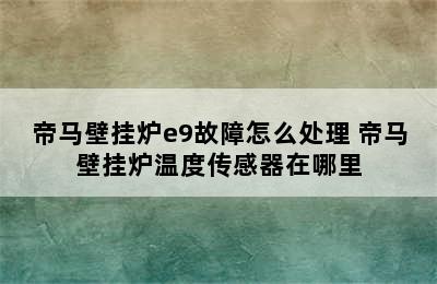 帝马壁挂炉e9故障怎么处理 帝马壁挂炉温度传感器在哪里